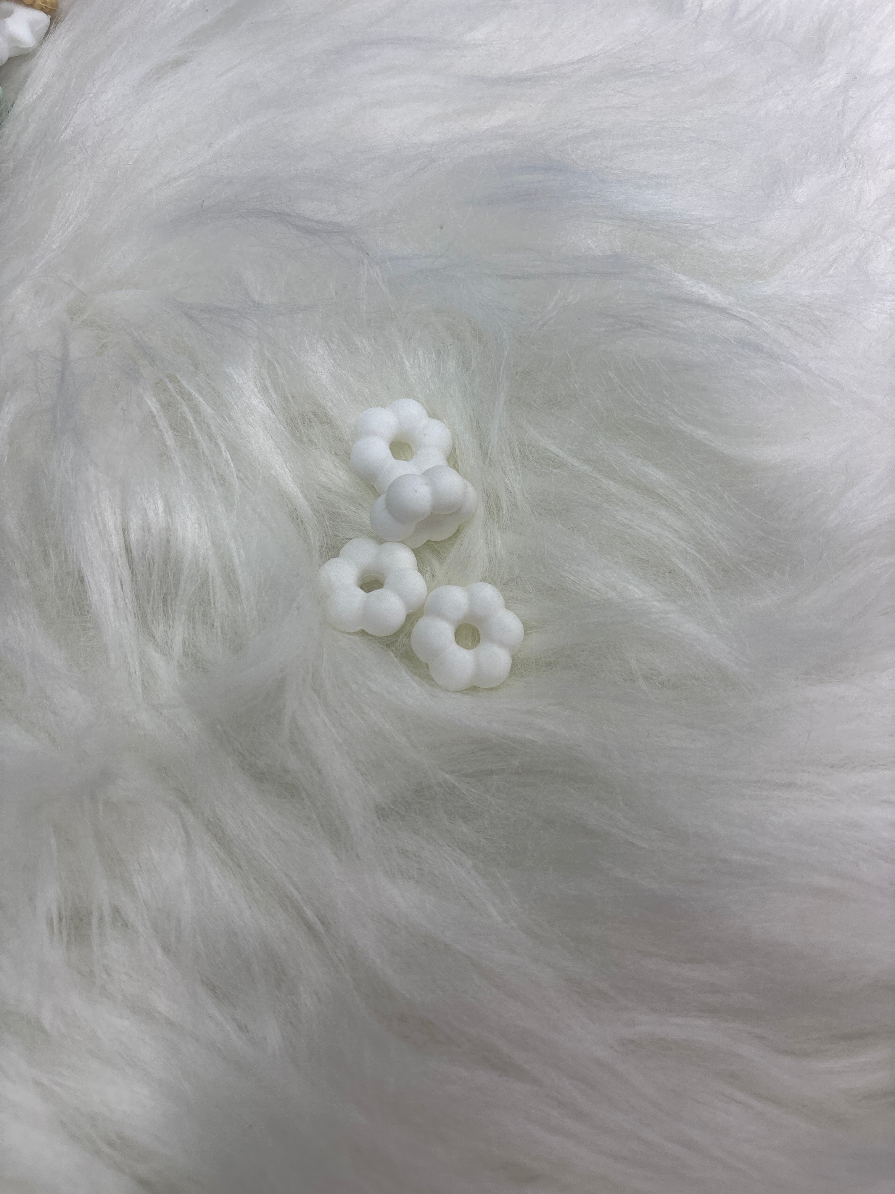 Lentilles fleur blanc