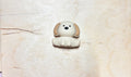 Perle Chien beige 3D