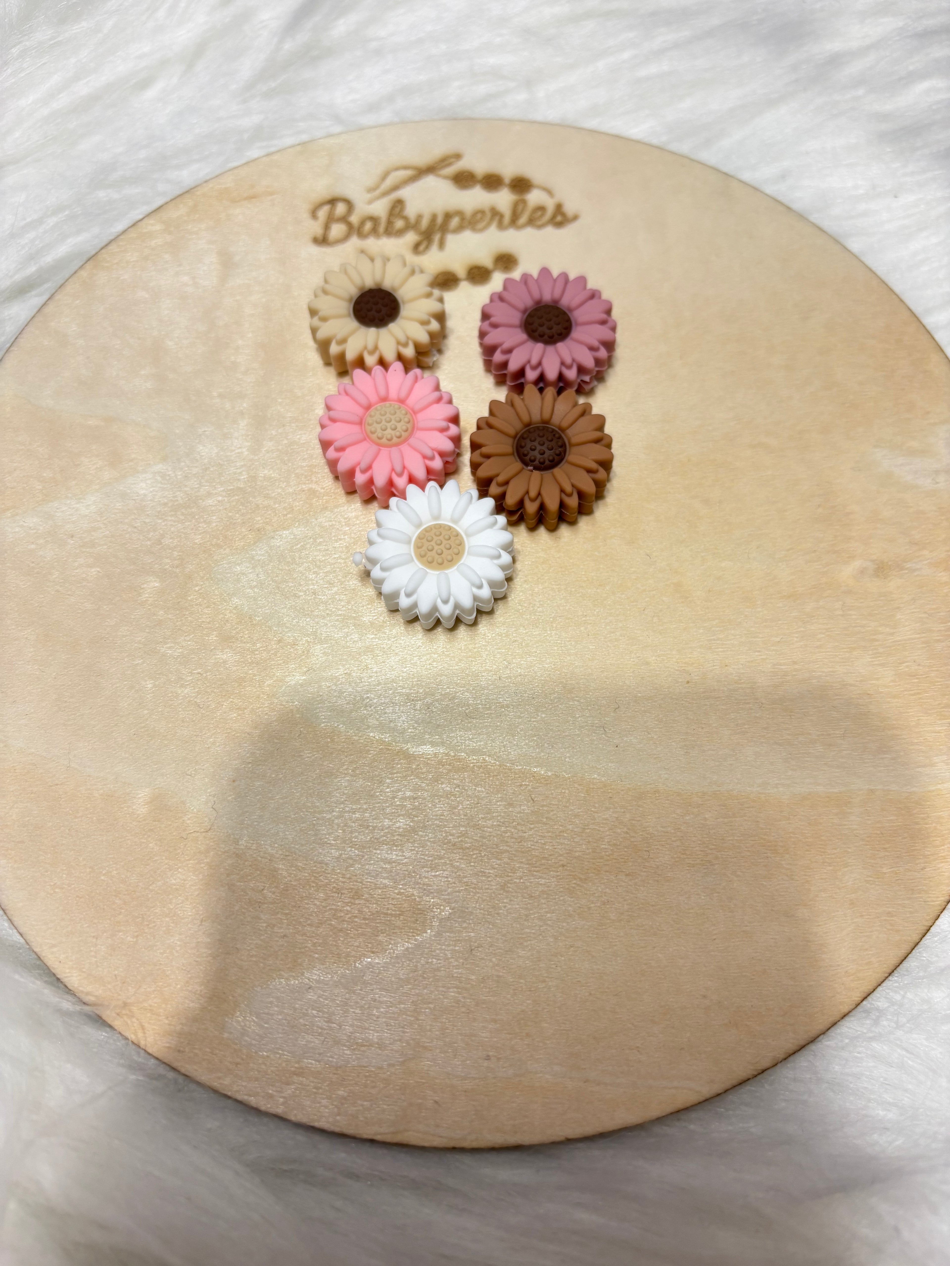 Fleurs marguerite (petites )